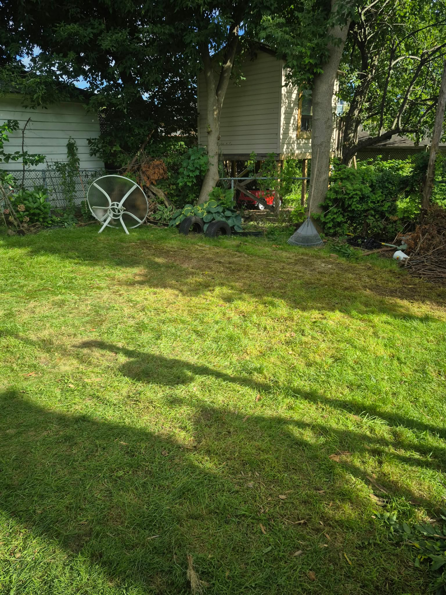 After: backyard debris removal — space completely cleared