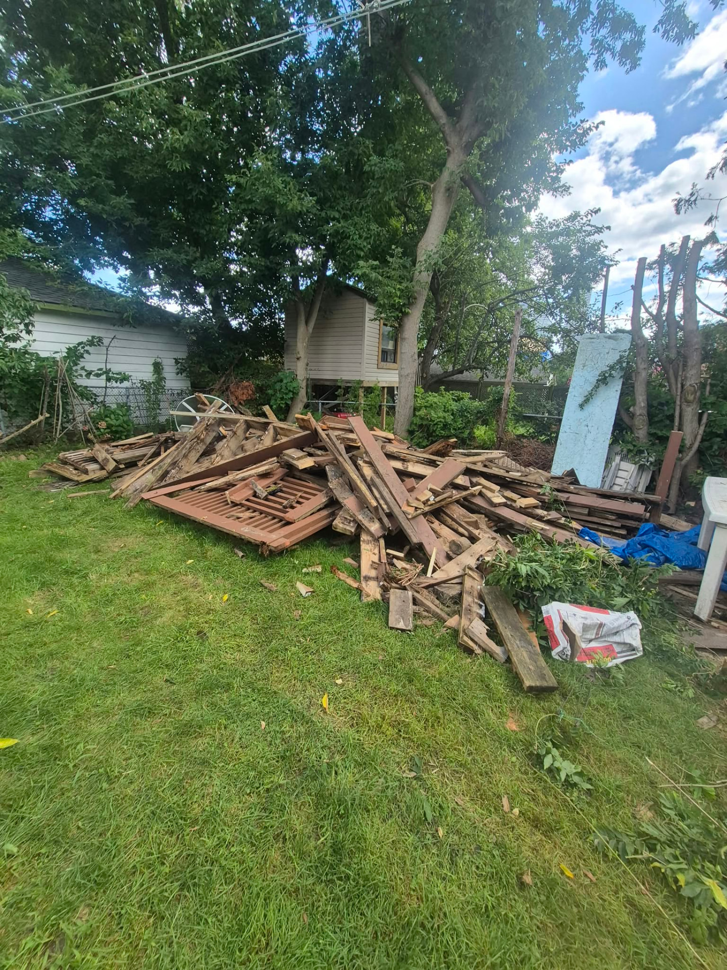 Before: backyard debris removal — space filled with junk